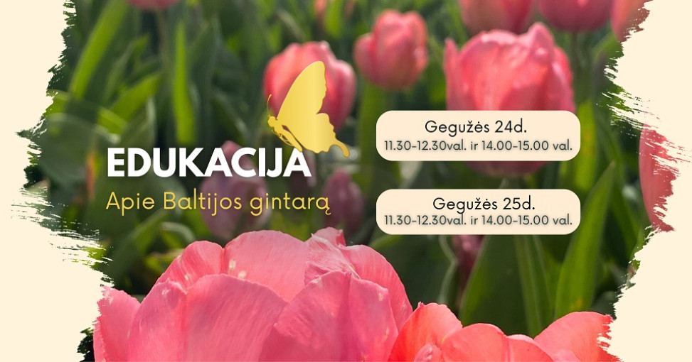 Baltijos gintaro edukacija