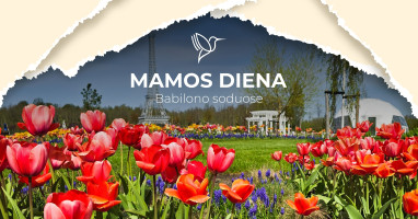 Mamos diena Babilono soduose. Gražiausia pavasario puokštė Mamai
