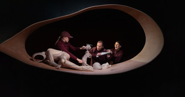 Lėlių spektaklis „Metamorfozė“ | Liepojos lėlių teatro gastrolės