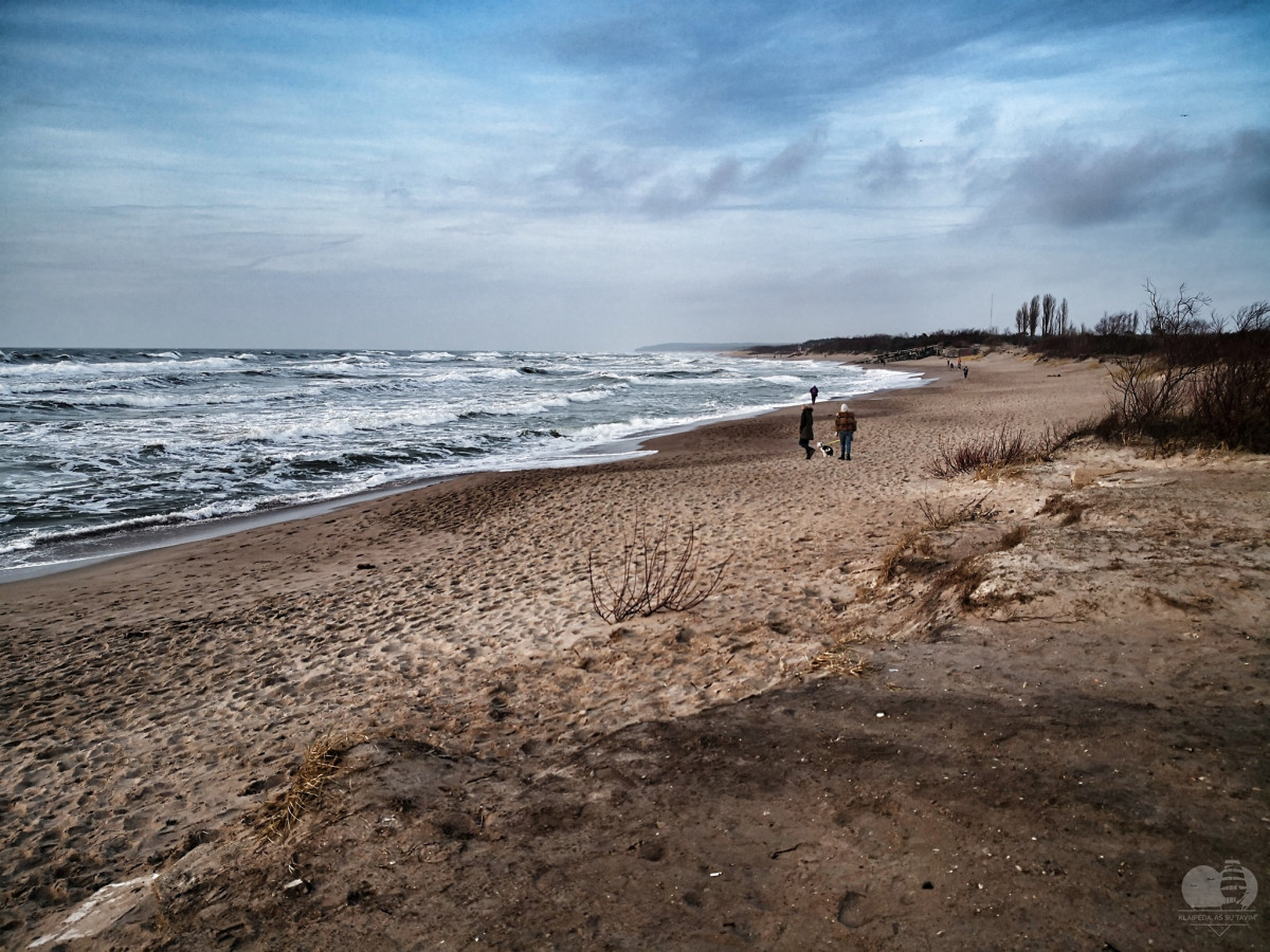 KTU mokslininkė: teršalai iš jūsų namų pasitinka jus Baltijos jūros bangose