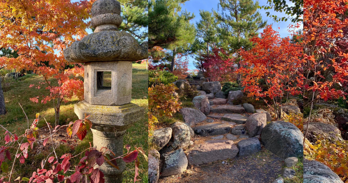 „Japoniškas sodas" švenčia gimtadienį: pirmadienį apsilankymas nemokamas