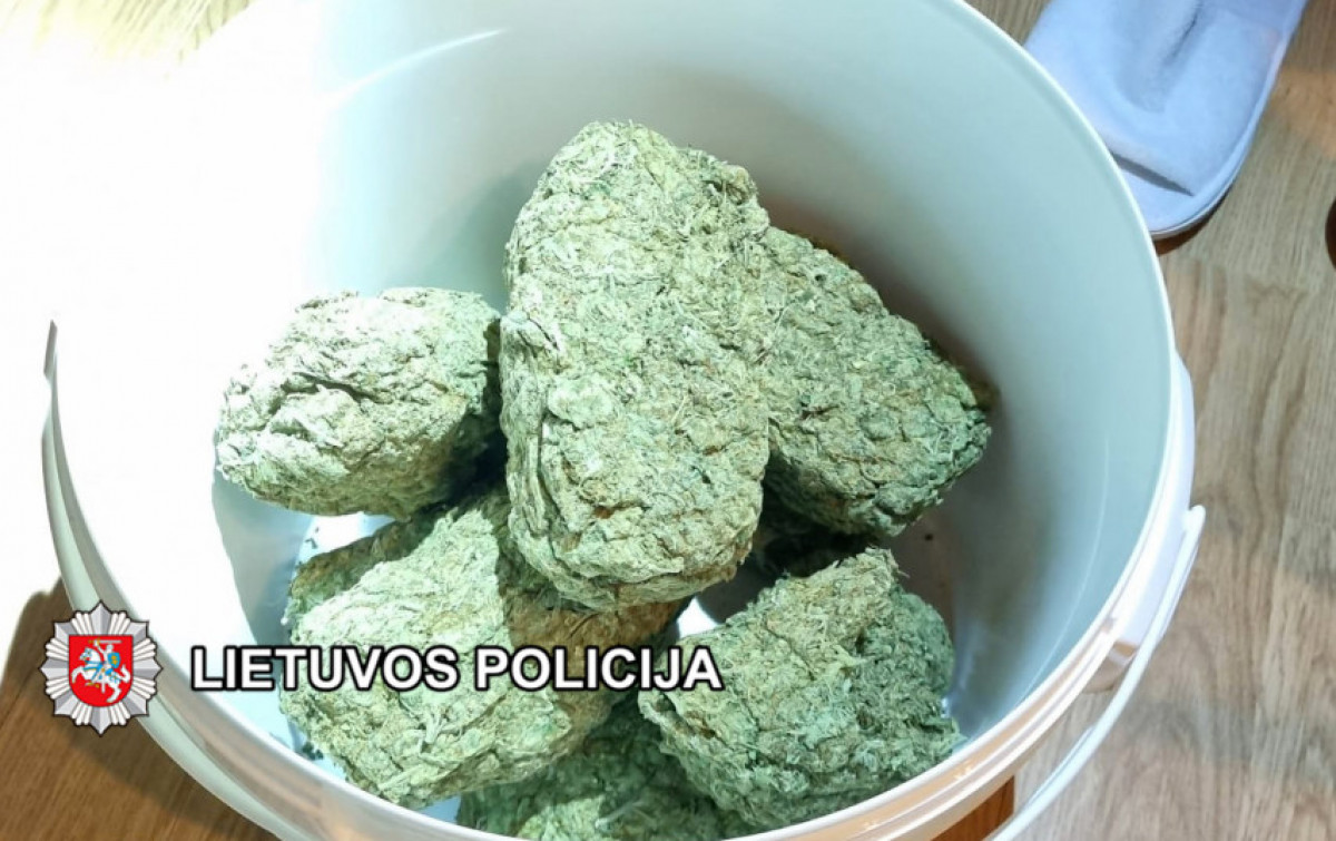 Kratų metu Klaipėdos kriminalistai rado apie 10 kg.įtariama kanapių ir apie 2 kg įtariama kokaino