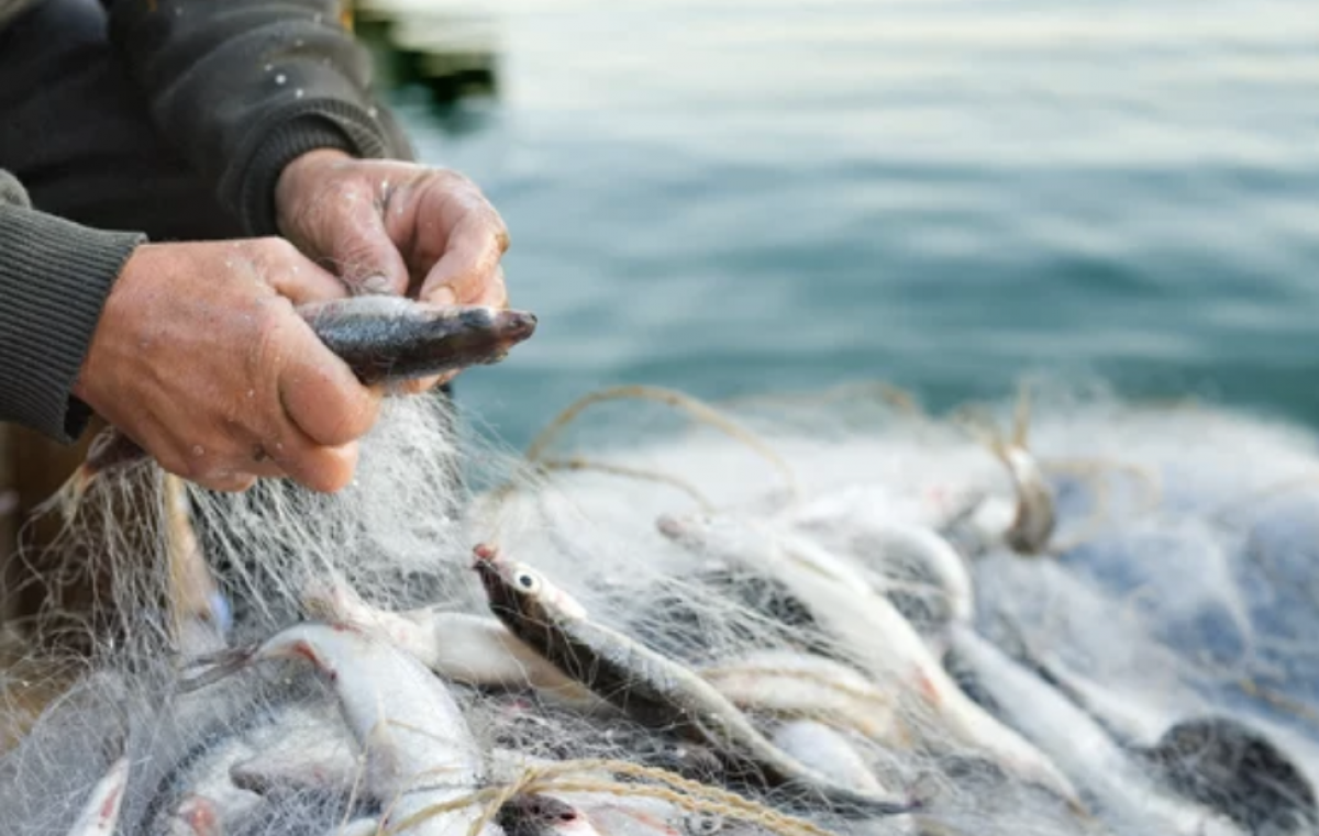Žvejyba pažeidėjui gali kainuoti apie 1500 eurų