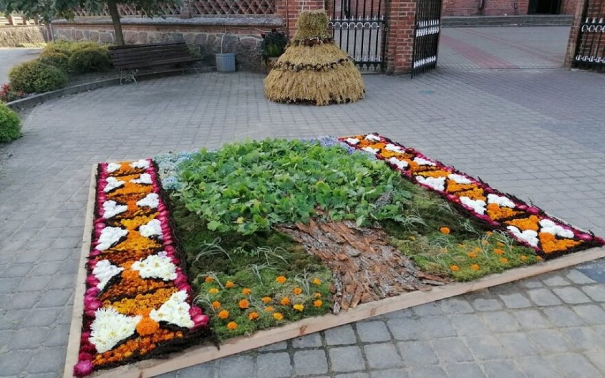 Jau devintąjį rudenį iš eilės Švėkšną papuošė gėlių kilimai
