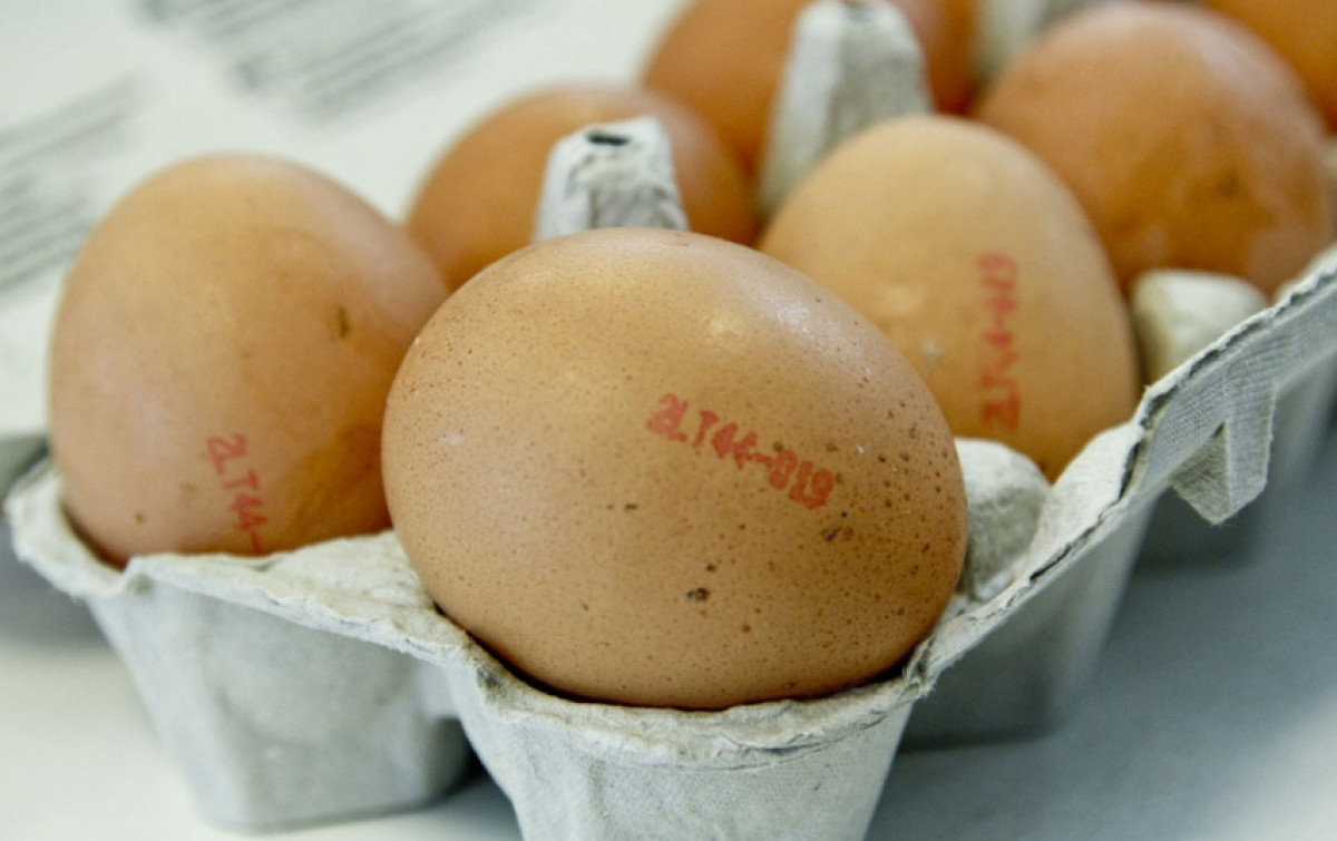 Artėjant Velykoms naudinga prisiminti kiaušinių ženklinimą – ką reiškia tie skaičiai?