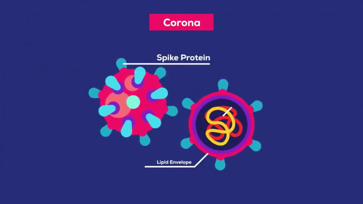 Išsamiai ir aiškiai apie koronavirusą: kas atsitinka užsikrėtus ir kaip reikia elgtis (VIDEO)