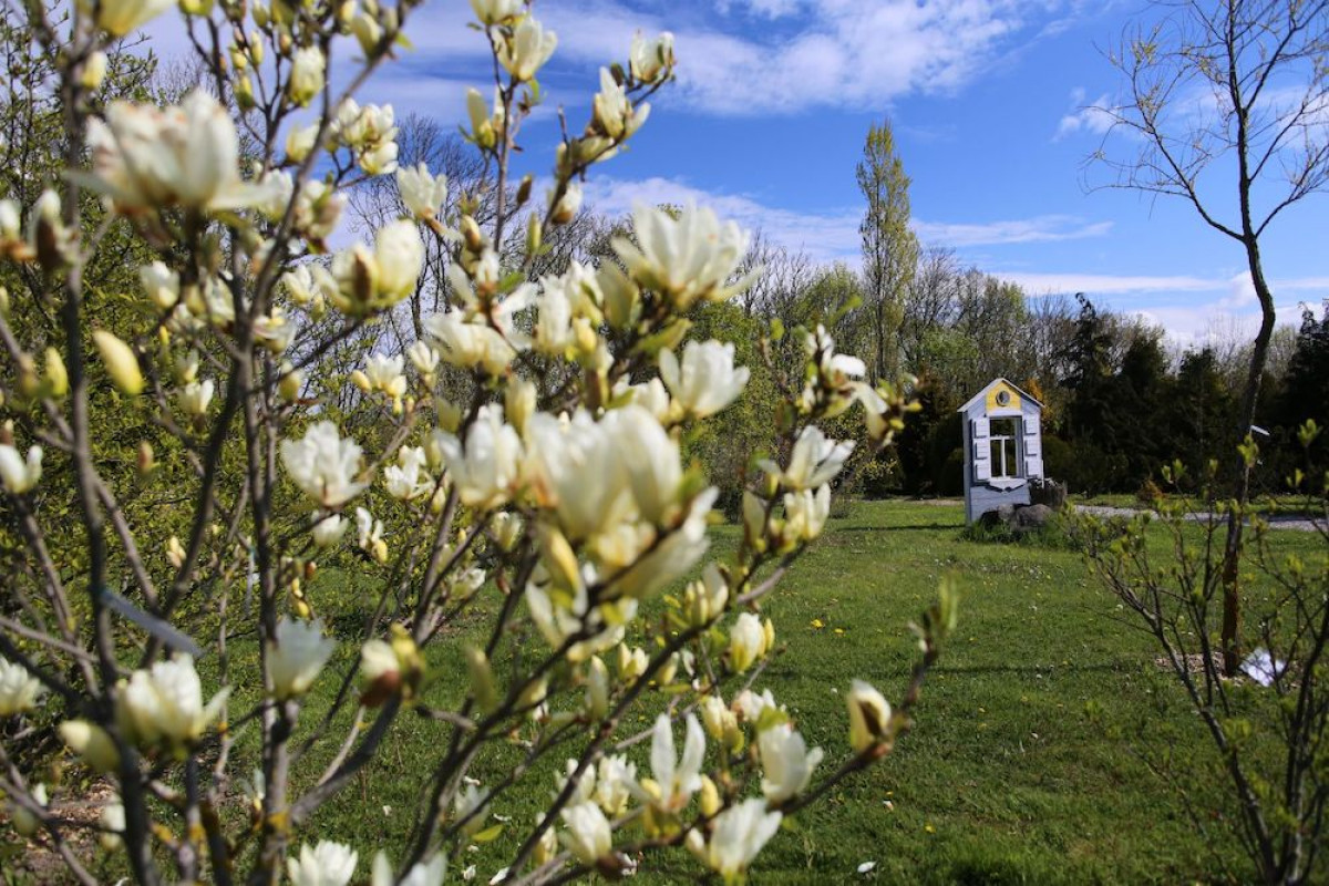 KU Botanikos sodas kviečia švęsti Žavėjimosi augalais dieną