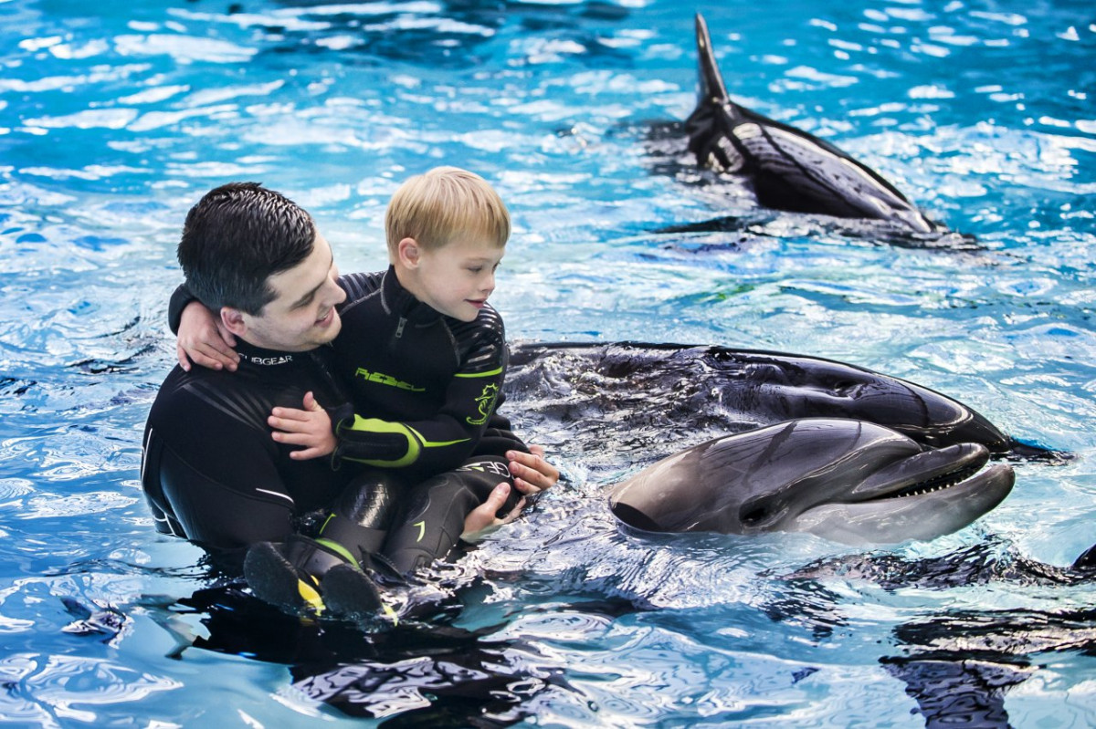 Jau šeštą kartą kviečia prisidėti ir padovanoti delfinų terapijas spec. poreikių vaikams