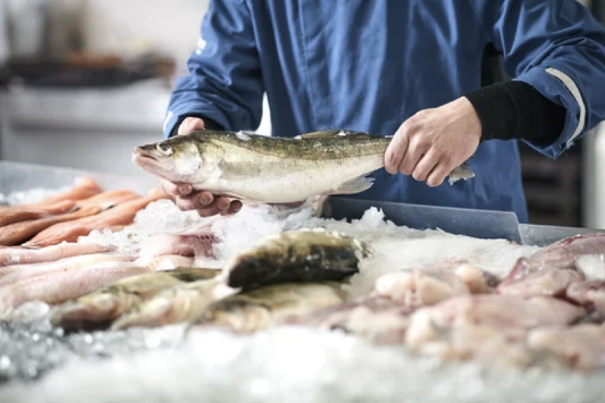 Prekeivių žuvimi patikra turgavietėse: 55,37 proc. nesilaikė maisto saugos