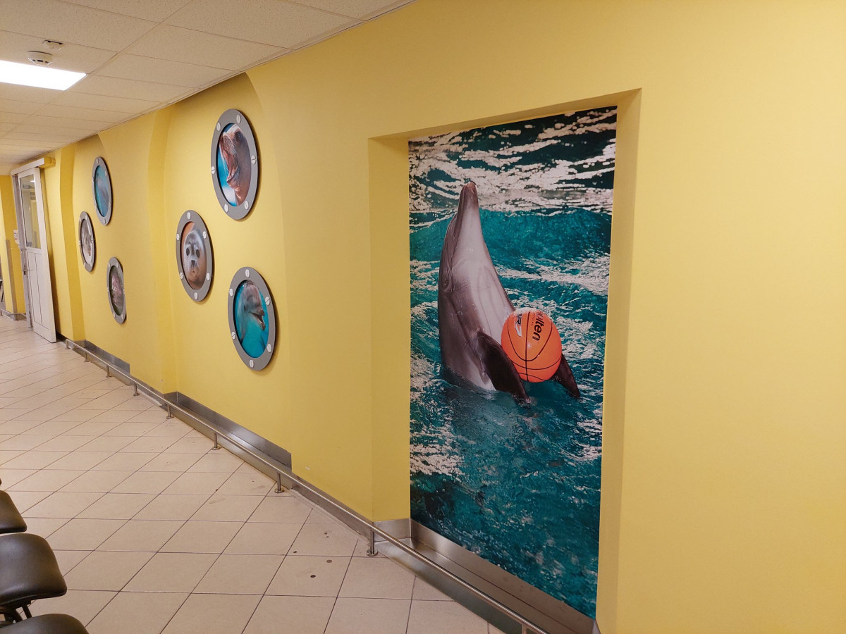 Klaipėdos vaikų ligoninėje ruoniukų ir delfiniukų portretai padės vaikams gyti