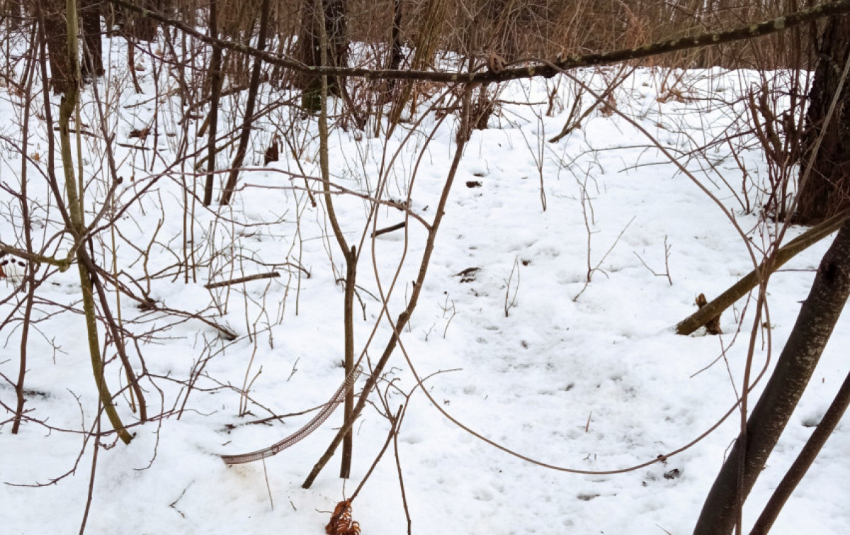 Klaipėdos aplinkosaugininkai kilpininko sodybą rado pagal sniege paliktus pėdsakus