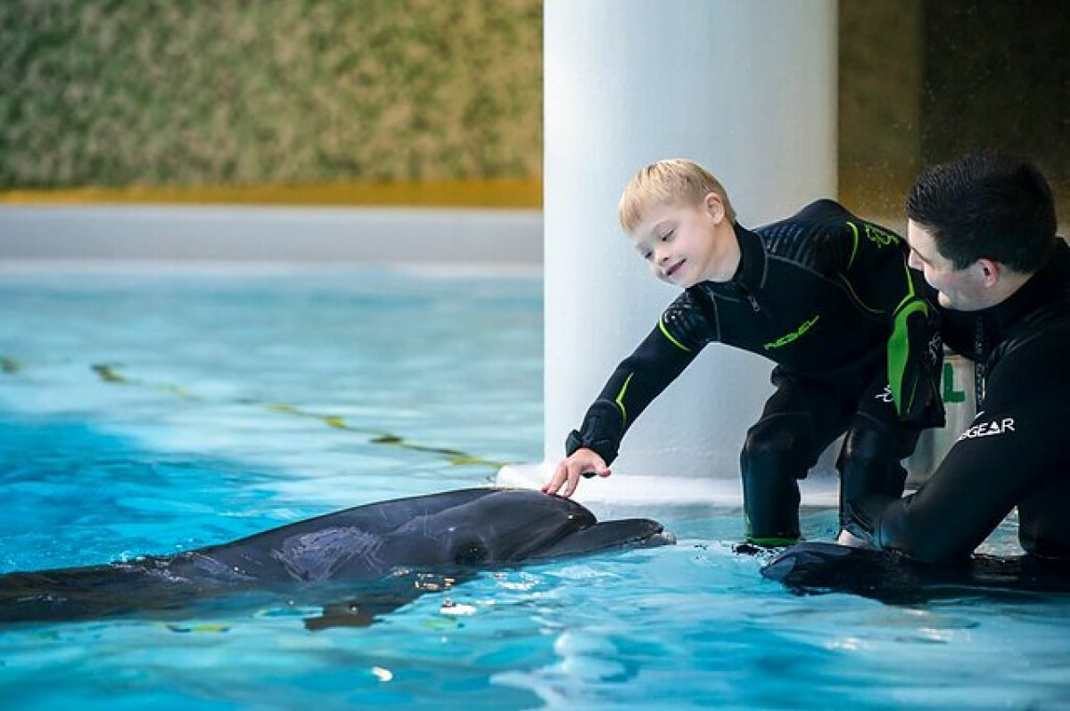 Ketvirtus metus tęsiama socialinė akcija: vaikai bus kviečiami į pasimatymą su delfinais