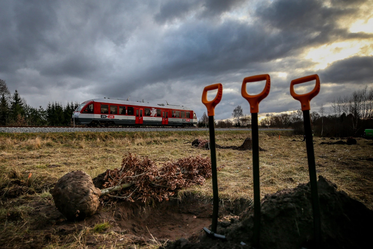 „LTG Infra“ šalia geležinkelio Klaipėdos rajone pasodino ąžuolus ir gudobeles
