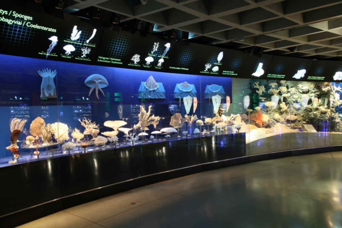 lietuvos jūrų muziejus