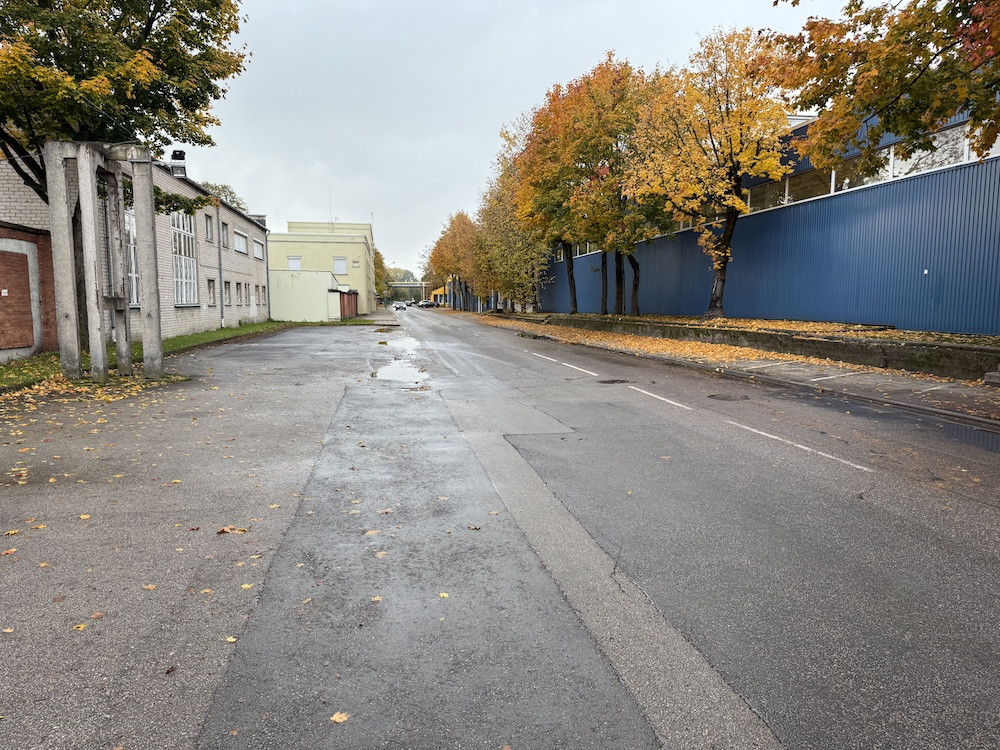 danės gatvė