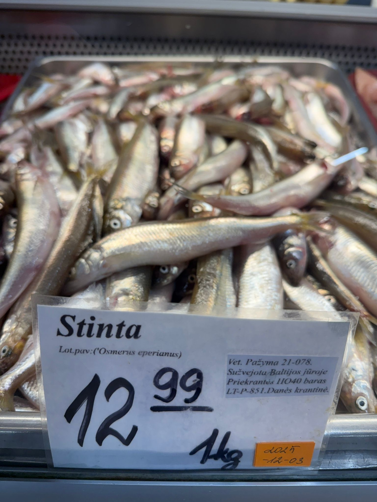 stinta