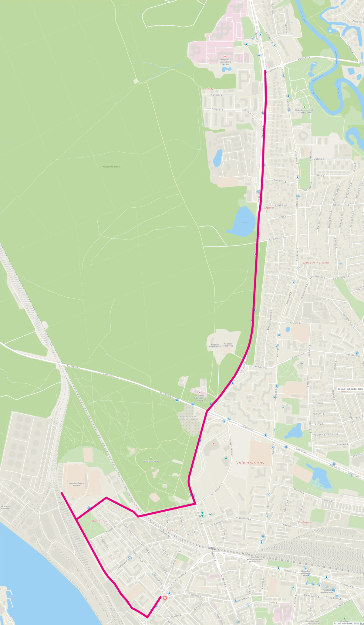 vanduo