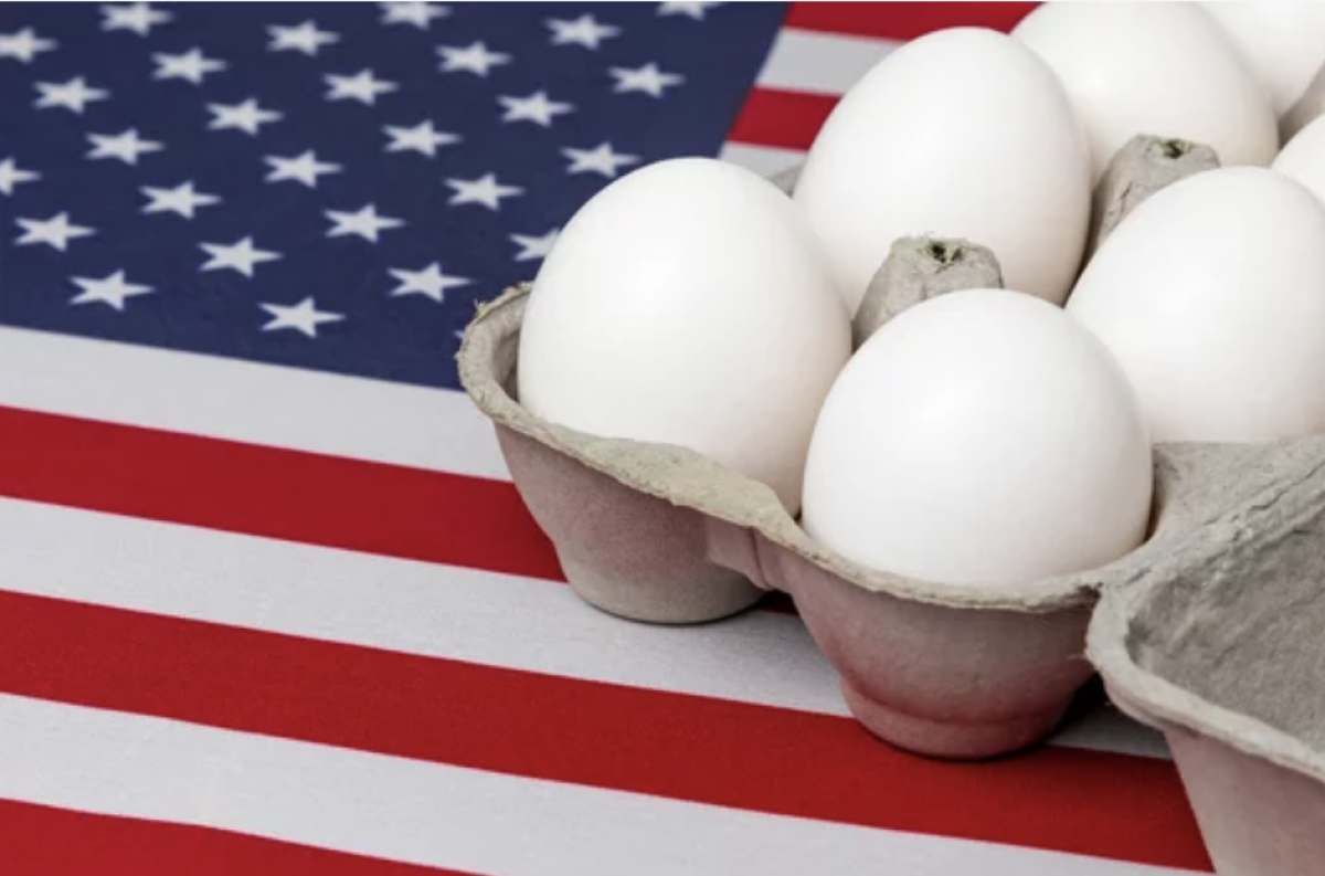 Lietuva gali tapti antrąja ES šalimi, į JAV eksportuojančia kiaušinių produktus