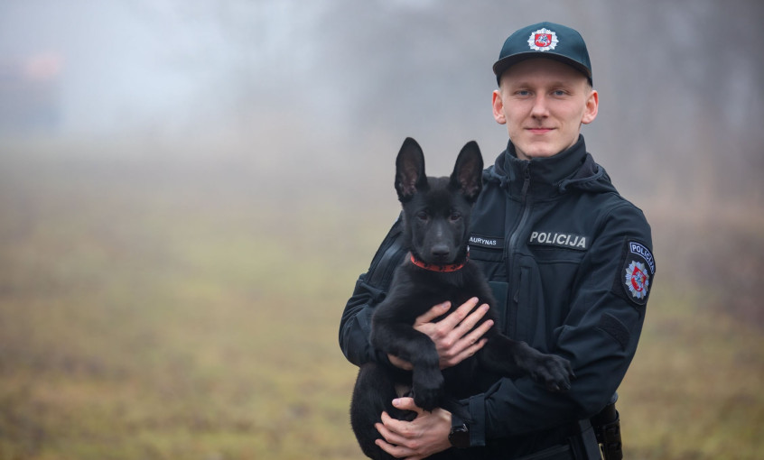 Tarnybą Klaipėdos apskrities policijoje pradeda naujas keturkojis kolega – vokiečių aviganių veislės kalytė Orca