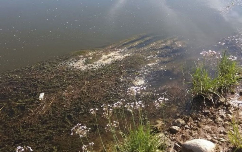 Lietuvos hidrometeorologijos tarnyba: artėja sausra