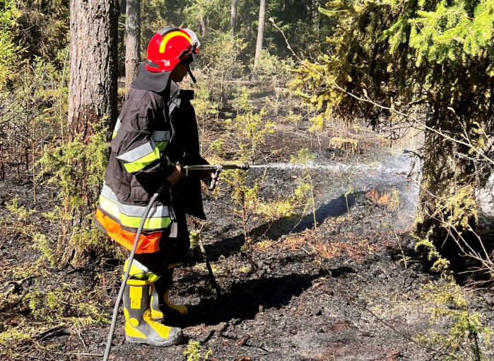 Dalyje šalies pasiekta aukščiausia gaisringumo klasė: miškininkai prašo gamtoje elgtis atsakingai bei pristato gaisrų kilimo rizikų Lietuvos miškuose žemėlapį