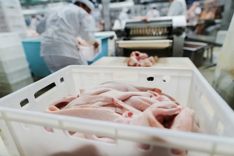 VMVT: V.Baltuonio ūkis gali atnaujinti kalakutienos perdirbimą, tęsiant griežtą paukščių gripo kontrolę