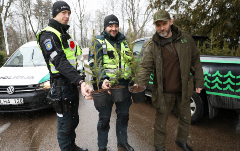 Miškininkai kartu su policijos pareigūnais dovanos kalėdinius medelius
