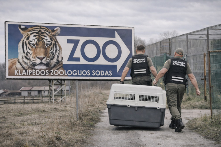 Klaipėdos zoologijos sode gyvūnams neužtikrintos tinkamos laikymo sąlygos: paimtos dvi japoninės makakos