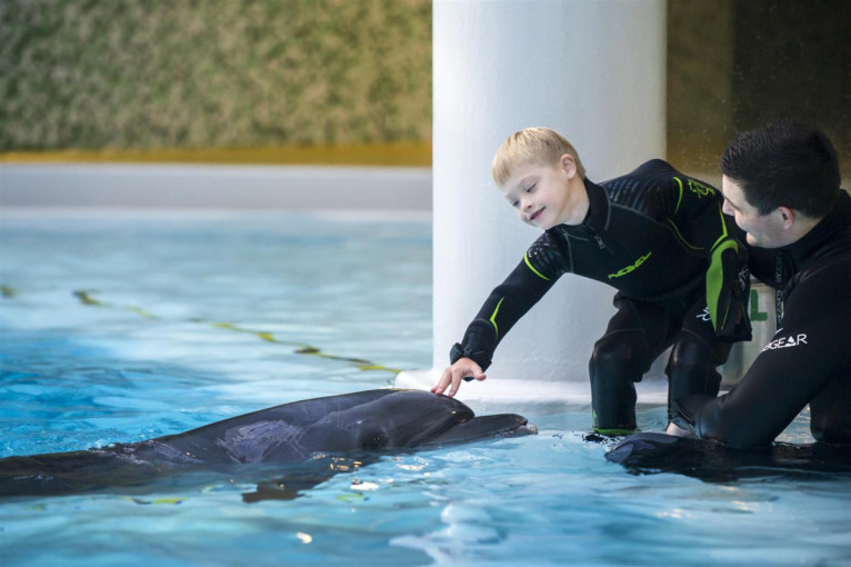 Net penkiolika šeimų gaus nemokamus delfinų terapijos užsiėmimus