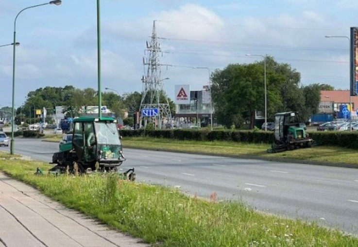 Klaipėdos savivaldybė: šienavimo darbai vykdomi tik viešosiose miesto erdvėse