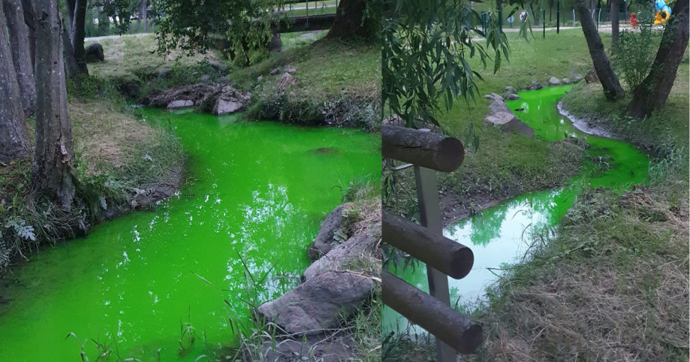 Gyventojai Kretingoje pastebėjo pažaliavusį upelio vandenį