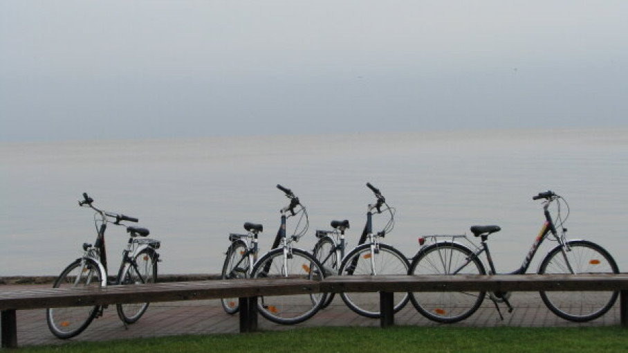 Neringos savivaldybė kviečia susilaikyti nuo važiavimo dviračiais maršrutu Smiltynė-Juodkrantė