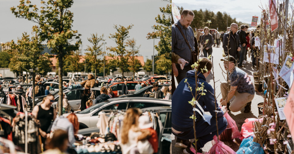 Šeštadienį Klaipėdoje - rudens atradimų diena prie „Švyturio arenos“