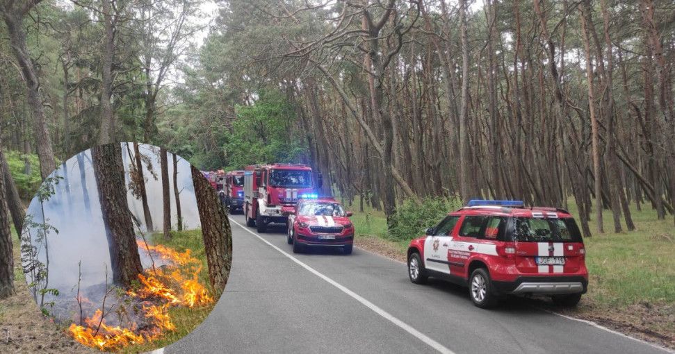 Artėjant savaitgaliui ugniagesiai primena - miškuose būtina elgtis itin atsakingai