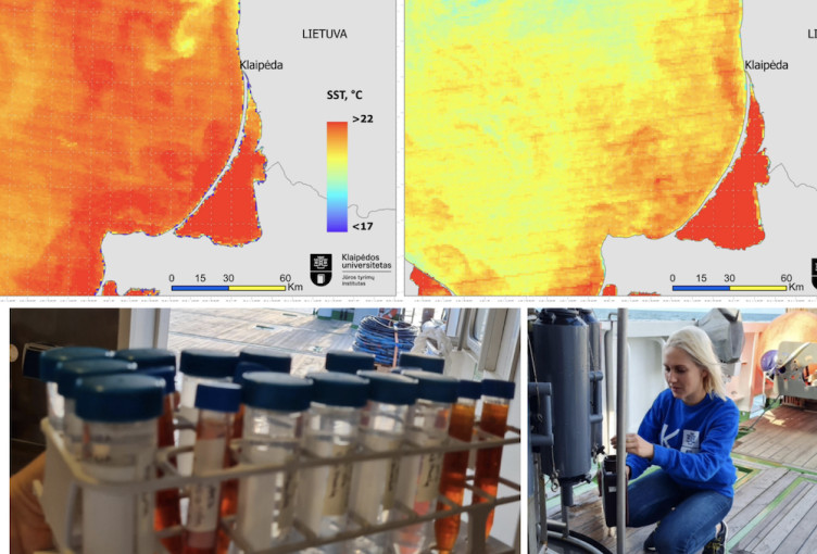 Klaipėdos universiteto mokslininkų tyrimai: Baltijos jūros karščio bangos darosi vis ilgesnės ir intensyvesnės