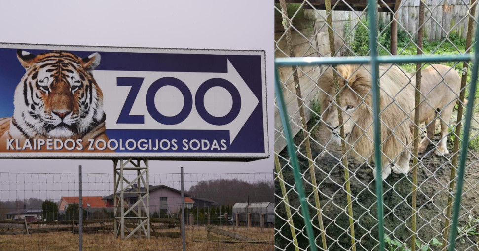 Aplinkos apsaugos departamentas kreipėsi į Aplinkos apsaugos agentūrą dėl Klaipėdos zoologijos sodui išduoto leidimo įkurti zoologijos sodą galiojimo panaikinimo