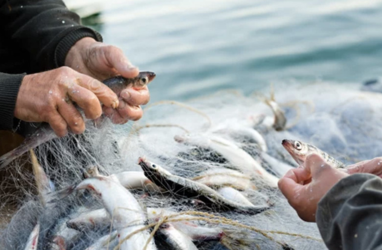 Neringos meras kreipėsi į LR Seimą dėl verslinės žvejybos – šio krašto identiteto - išsaugojimo