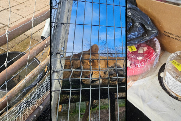 Klaipėdos zoologijos sodas neįvykdė privalomųjų nurodymų reikalavimų: pradėta teisena