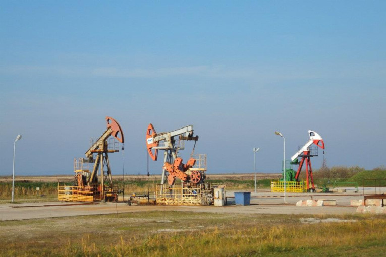 Aplinkosaugininkai nepritarė naftos gavybos planams Kintuose