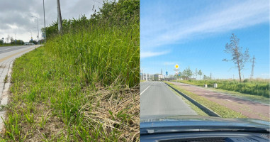 Klaipėdos šienavimo krizė: rangovui – 3600 eurų bauda